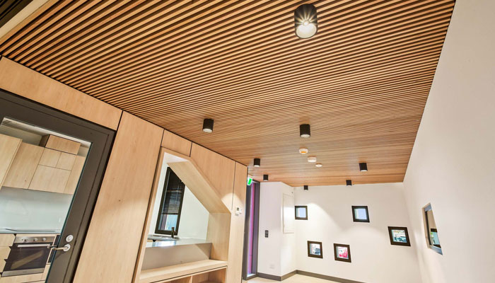 A Complete Guide to Using WPC Ceiling Panels
